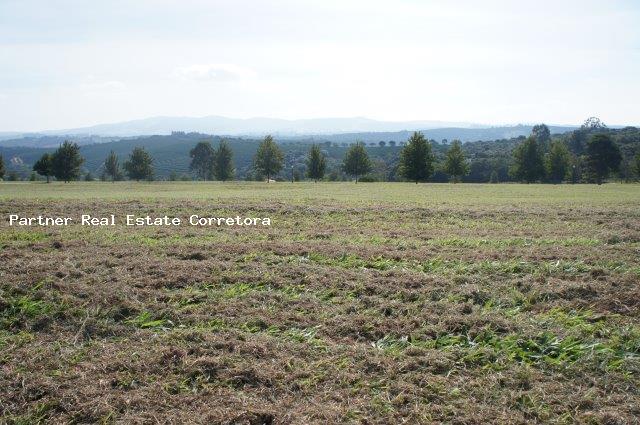 Terreno à venda, 3000m² - Foto 8