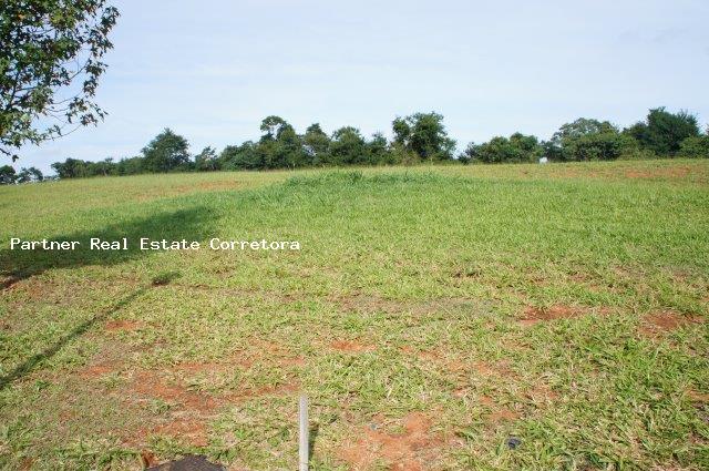 Terreno à venda, 3000m² - Foto 14