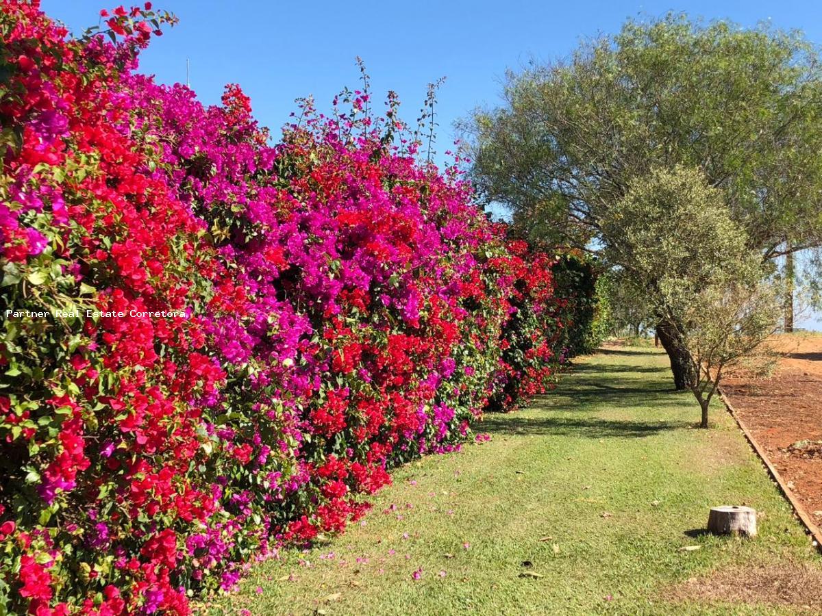 Casa de Condomínio à venda com 5 quartos, 12500m² - Foto 22