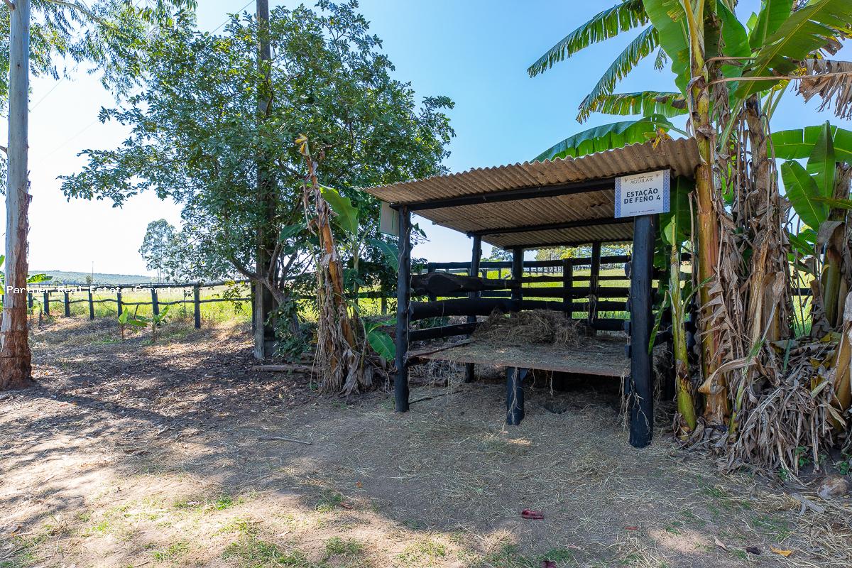 Chácara à venda com 3 quartos, 133100m² - Foto 16