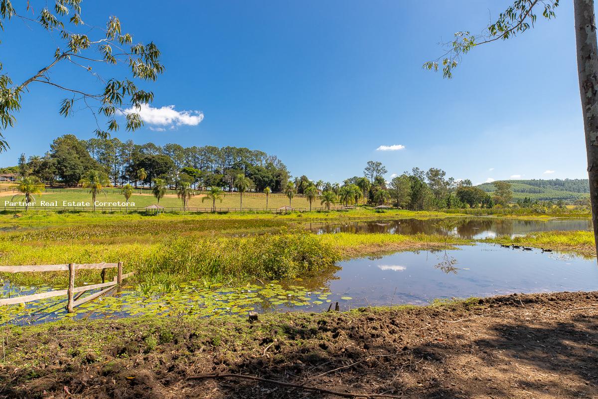 Chácara à venda com 3 quartos, 133100m² - Foto 18