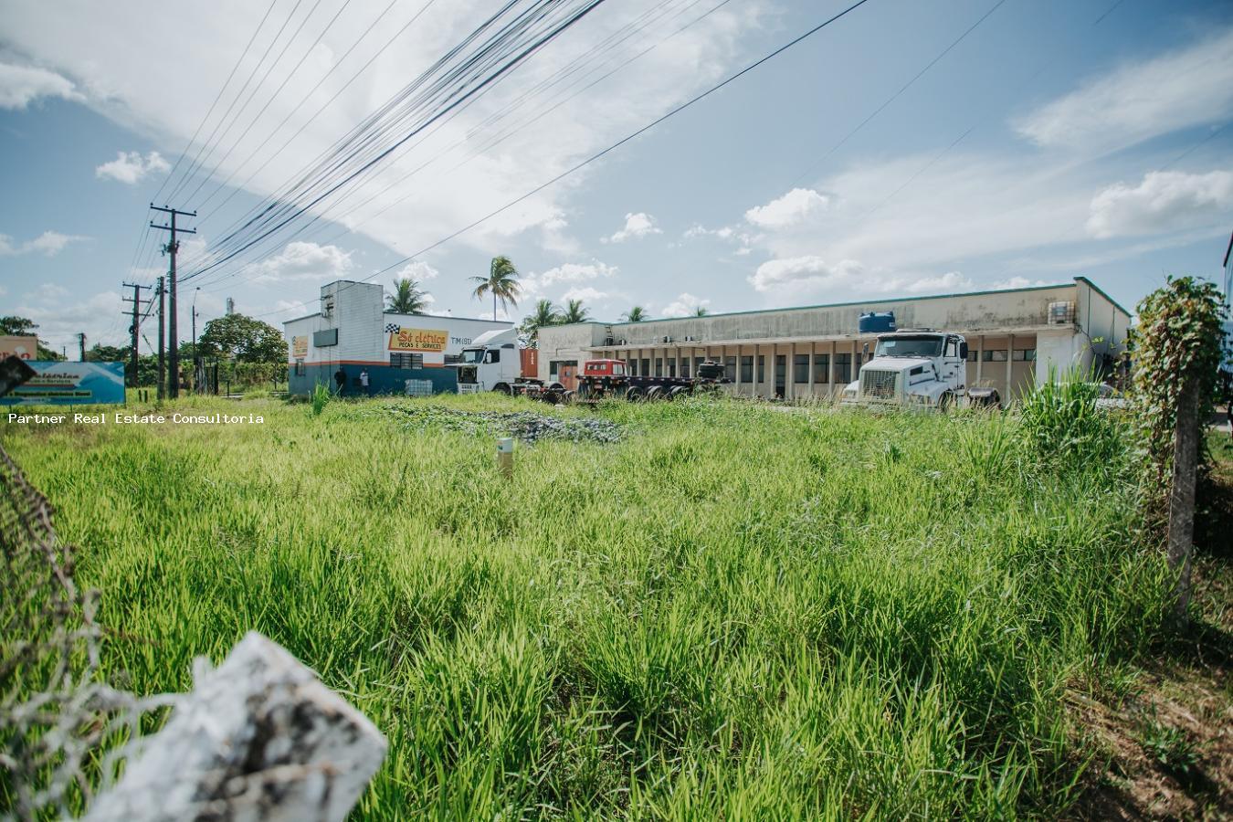 Depósito-Galpão-Armazém à venda, 31000m² - Foto 6