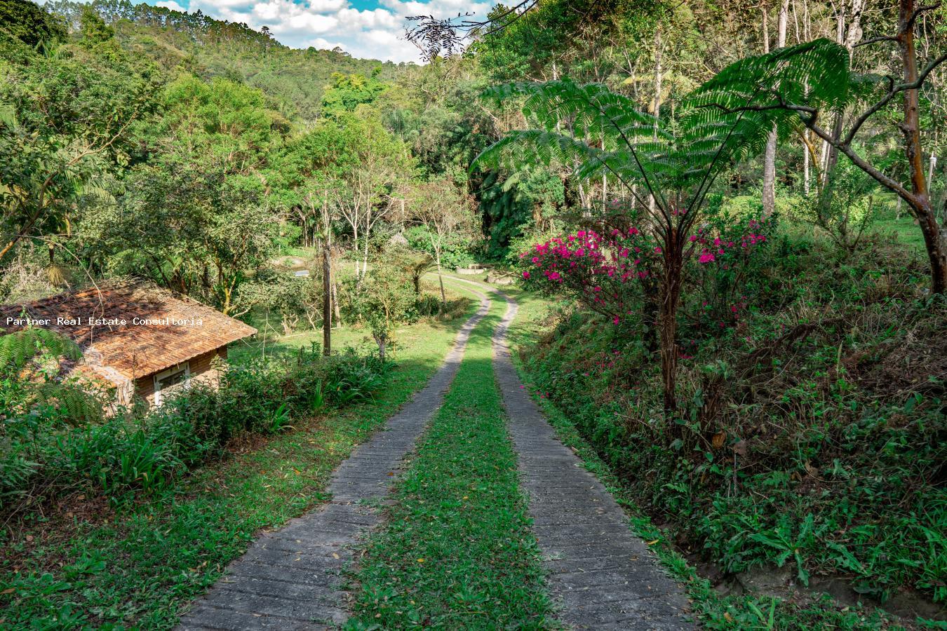 Casa à venda com 3 quartos, 79m² - Foto 6